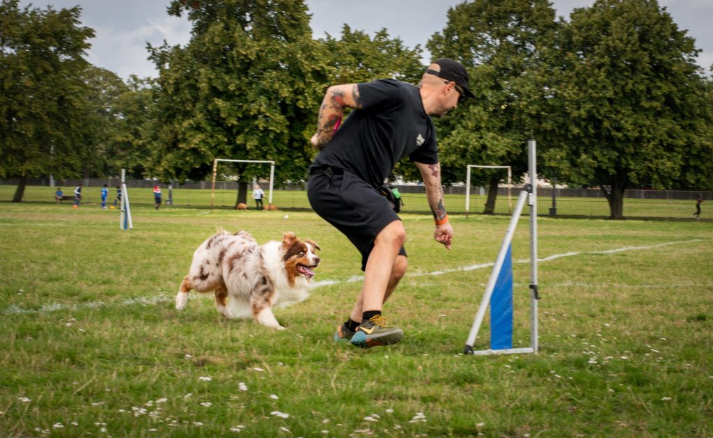 Training Tails Stories from the World of Dog Training